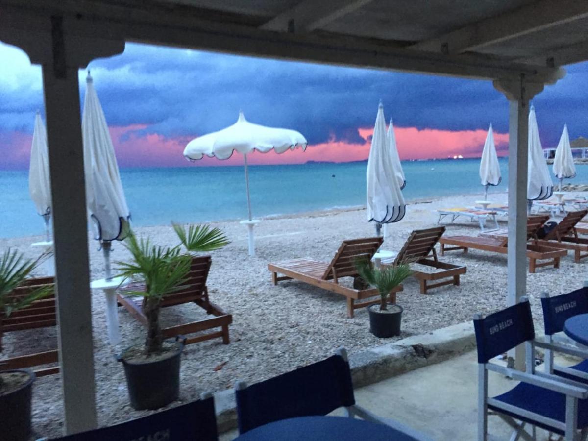Palmanova Beach Mardok Kanine Exteriör bild