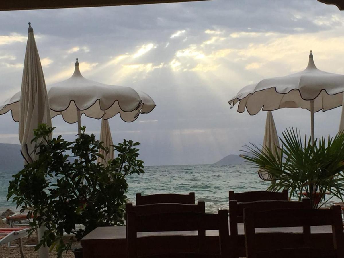 Palmanova Beach Mardok Kanine Exteriör bild